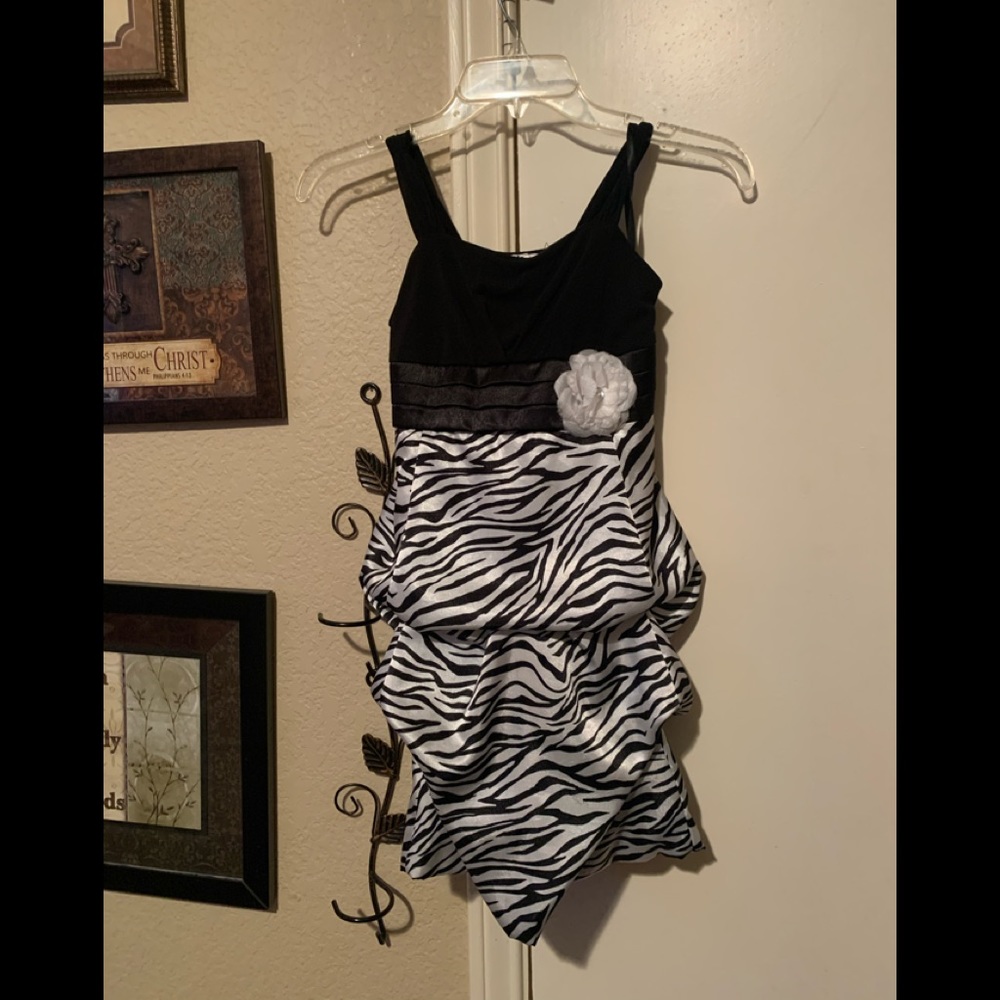 Adorable Zebra Print Dress